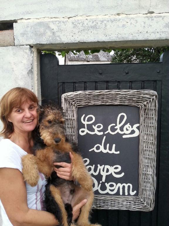 Le Clos Du Carpe Diem Cambligneul المظهر الخارجي الصورة